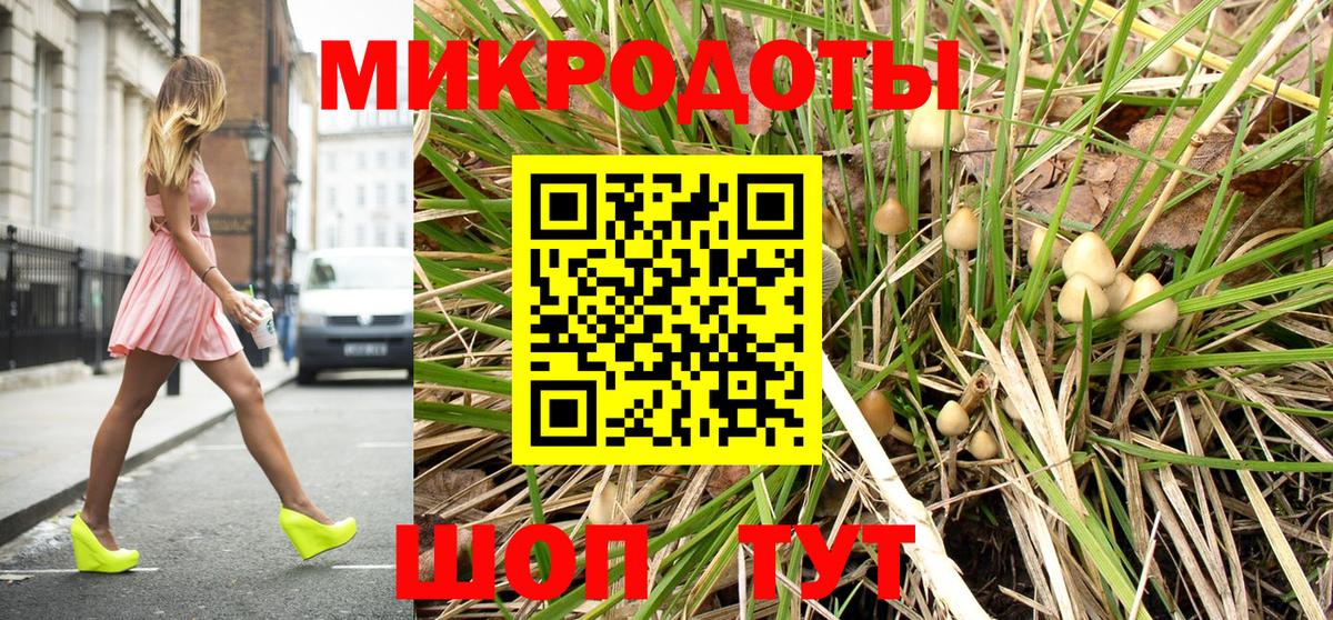 магазин  наркотиков  Псилоцибиновые грибы Psilocybine cubensis  Вход с VPN  Советск 