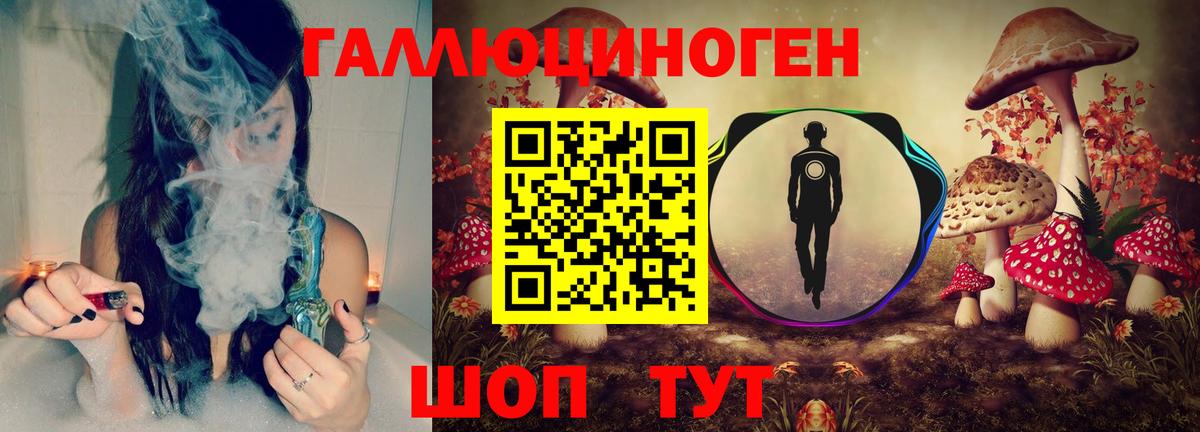 Псилоцибиновые грибы Psilocybe Советск